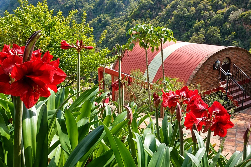 Cabaña Tierra, fotografía 4 de 8, Villa Manantial de Sueños